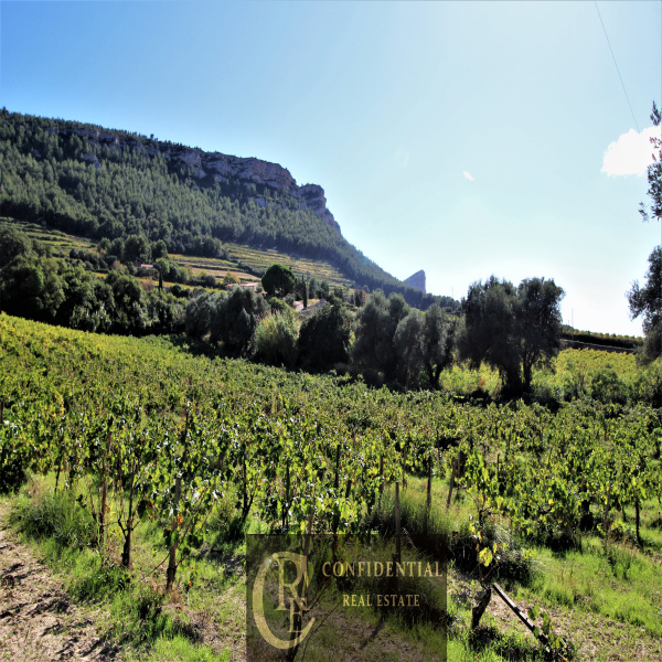 Offres de vente Maison Cassis 13260